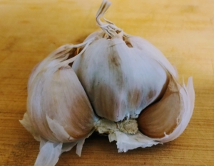 Knoblauch