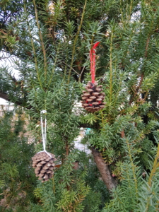 Baumschmuck aus Zapfen, mit bunter Schnur zu Anhängern gebunden 