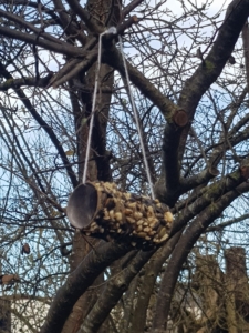 Vogelfutter an einer leeren Klorolle hängt in einem Baum