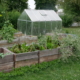Foto vom Garten mit Gewächshaus und Hochbeeten