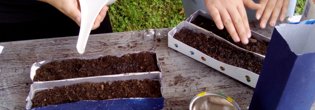 Foto von 2 Kindern beim Angießen von Samen in einem Tetrapack.