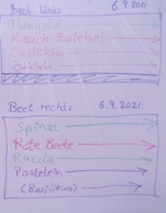 Pflanz-Plan für ein Mischkultur-Beet (Foto: Katharina Gebel)