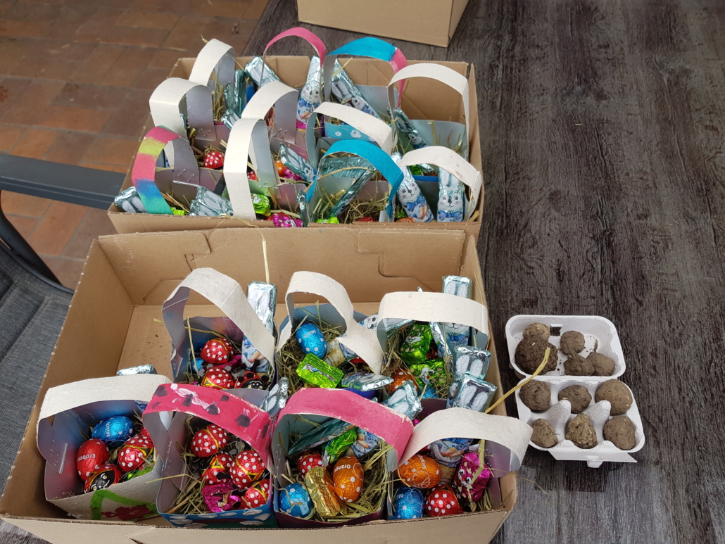 Foto von vielen bunten Oster-Körbchen mit Süßigkeiten. Daneben liegen Samen-Bomben in einem Karton. (Foto: Katharina Gebel)
