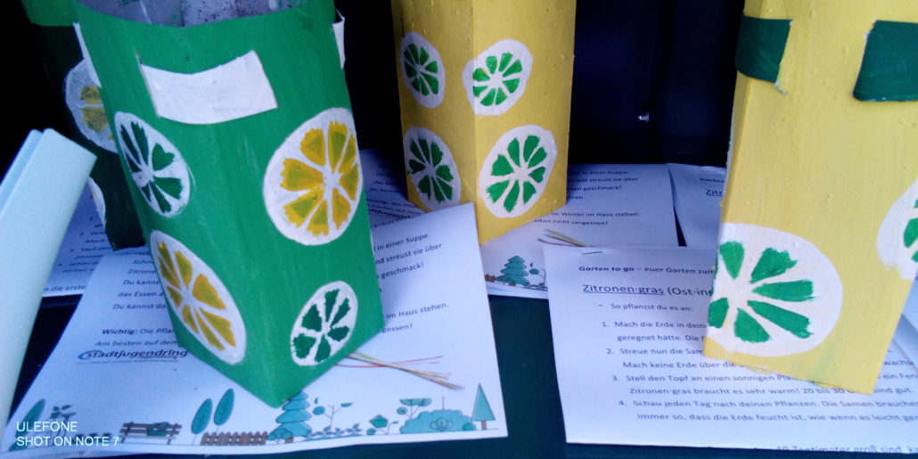 Foto von Pflanztöpfen aus Tetrapacks, die mit Zitronen und Limetten bemalt sind, darunter liegen Anleitungen zum Ansäen (Foto: Katharina Gebel)