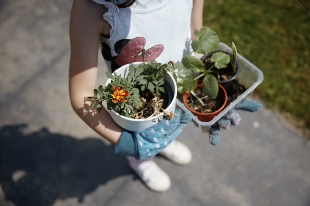 Das Foto zeigt Blumen und Gemüse in Töpfen, die von einem Kind getragen werden. (Foto: ©BJR/Johnke)