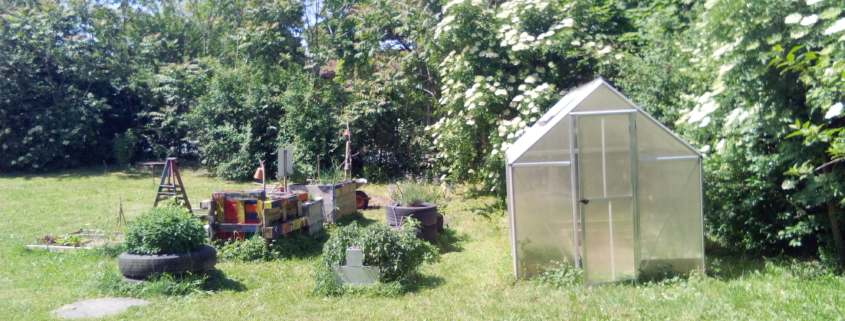 Das Foto zeigt den Garten mit Gewächshaus und Beeten. (Foto: Katharina Gebel)